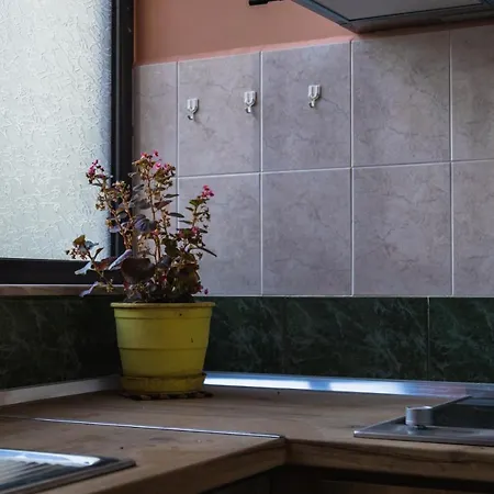 Tranquil Urban Space Apartment Tirana