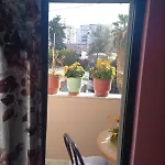 Tranquil Urban Space Tirana
