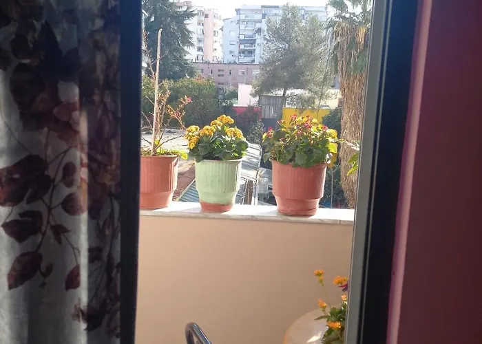 Tranquil Urban Space Tirana